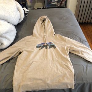 Patagonia Men’s Hoodie
